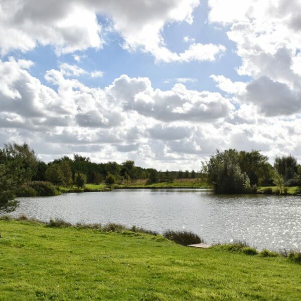 Gold Lake at Wold View Country Park in Lincolnshire