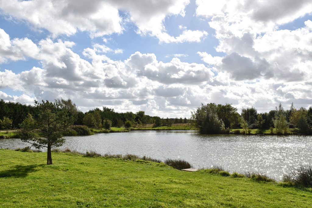 Gold Lake at Wold View Country Park in Lincolnshire