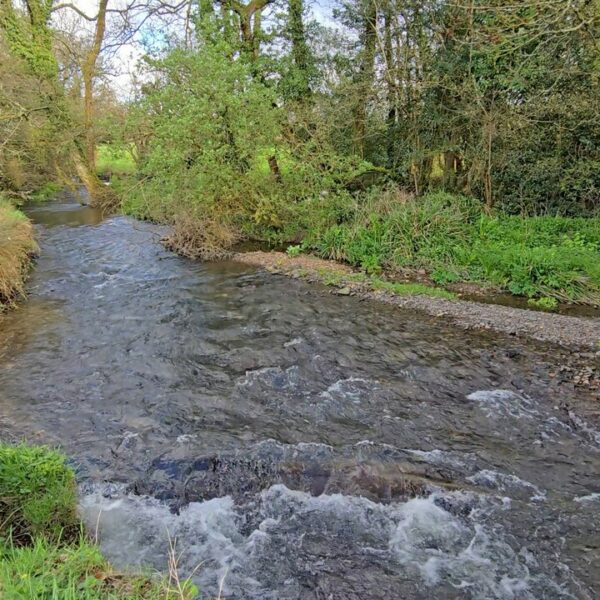 Sprighill Farm with River Lew Frontage