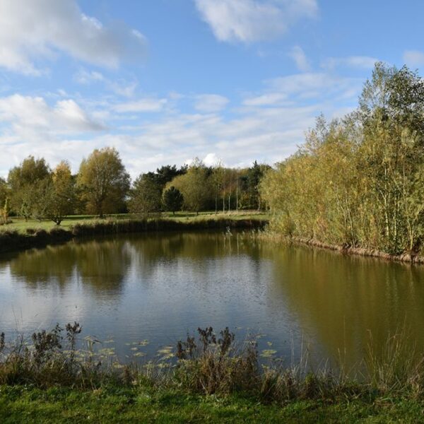 Ultimate Lake at Wold View Country Park in Lincolnshire