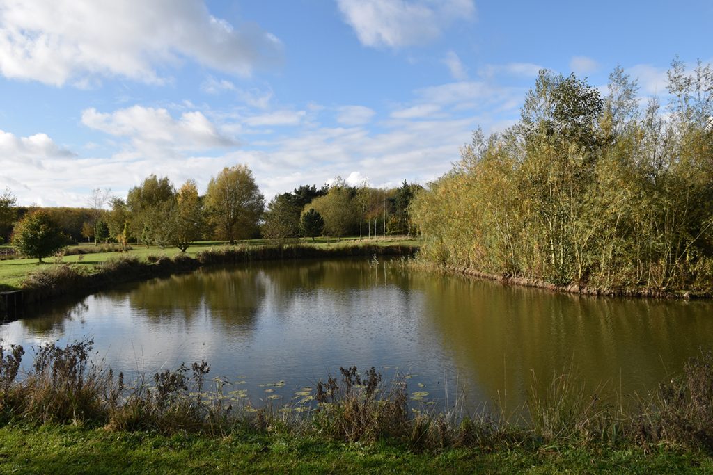 Ultimate Lake at Wold View Country Park in Lincolnshire