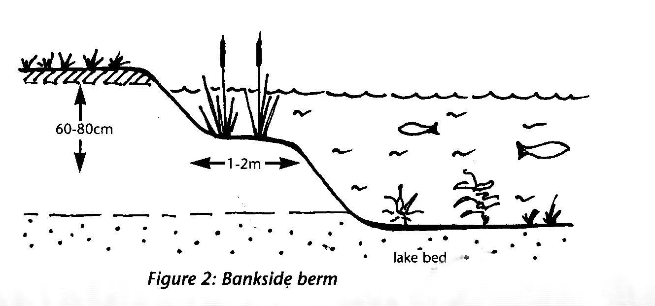 Building a coarse fishery - Bankside Berm
