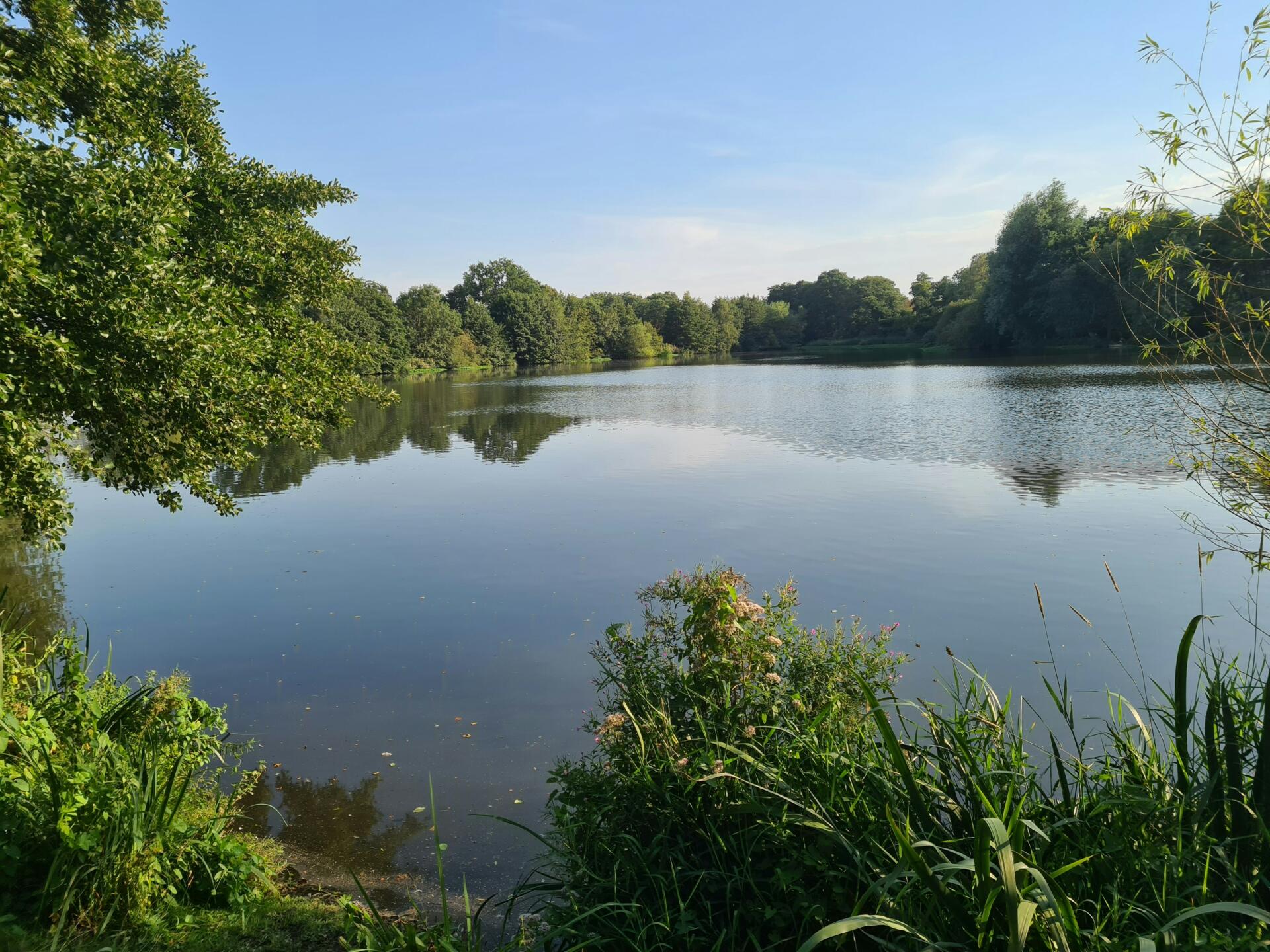 Waterlife – Floating Water Lodges for Fisheries