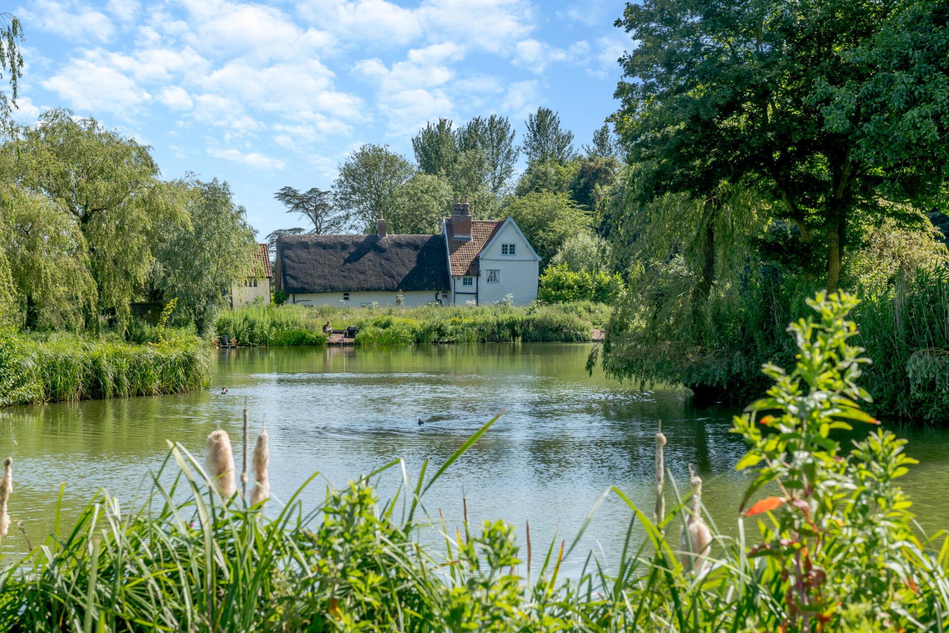Fisheries Wanted