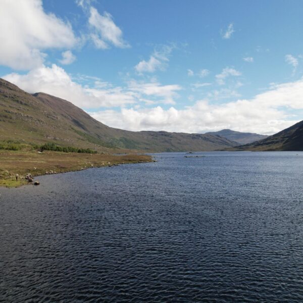 Fishing rights for sale on Loch Damph, Torridon