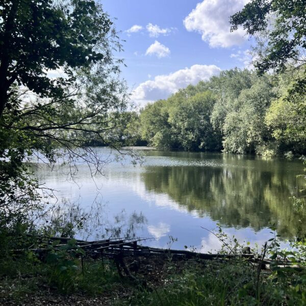 The Folly - A swim on the small lake