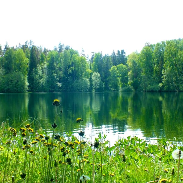 Fishing lake in Devon or Cornwall