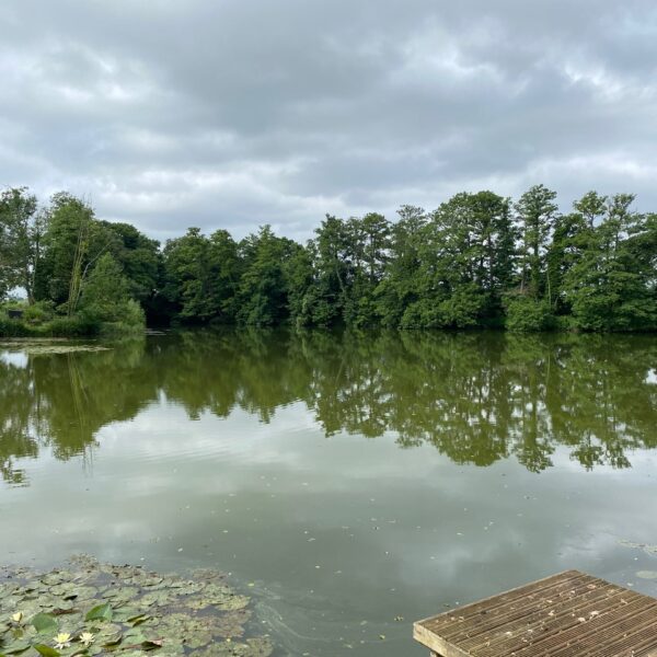 No 2 Guelders Lake