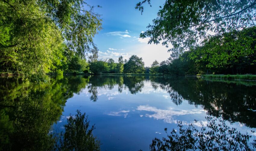 A beautiful fishing lake in the UK in Summer