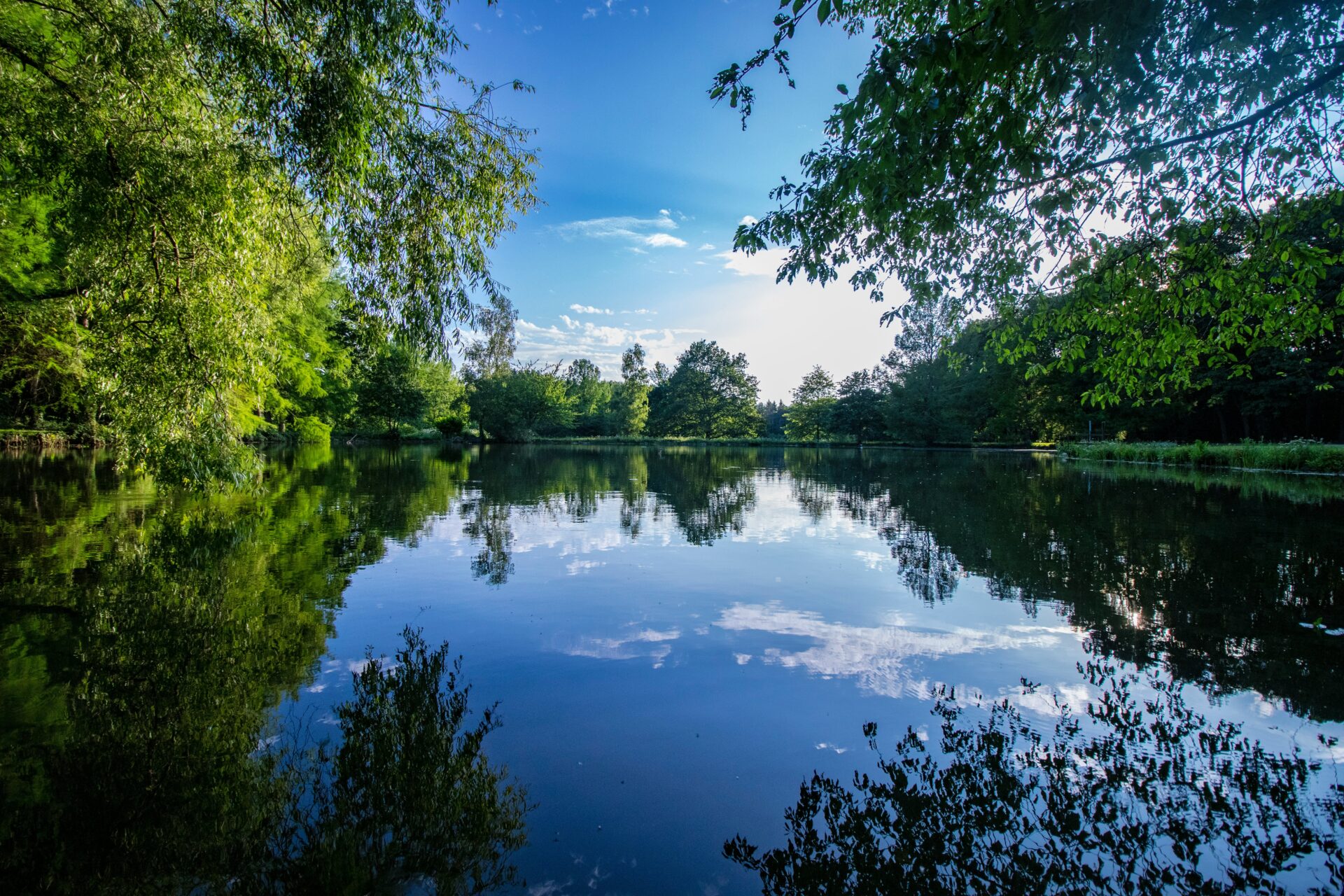 14 Day Ticket Fisheries to Explore in Buckinghamshire