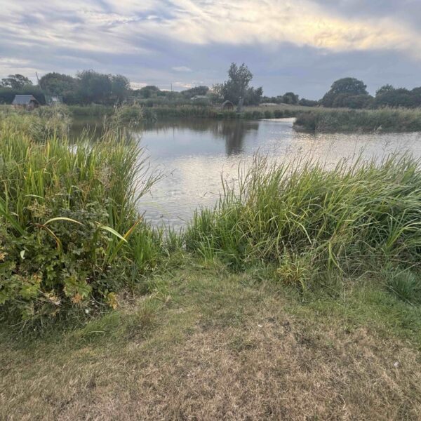 A Summer Update from Spring Rock Fishery