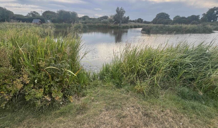 The Bivvy Swim where Josh caught the 30lb Mirror Carp