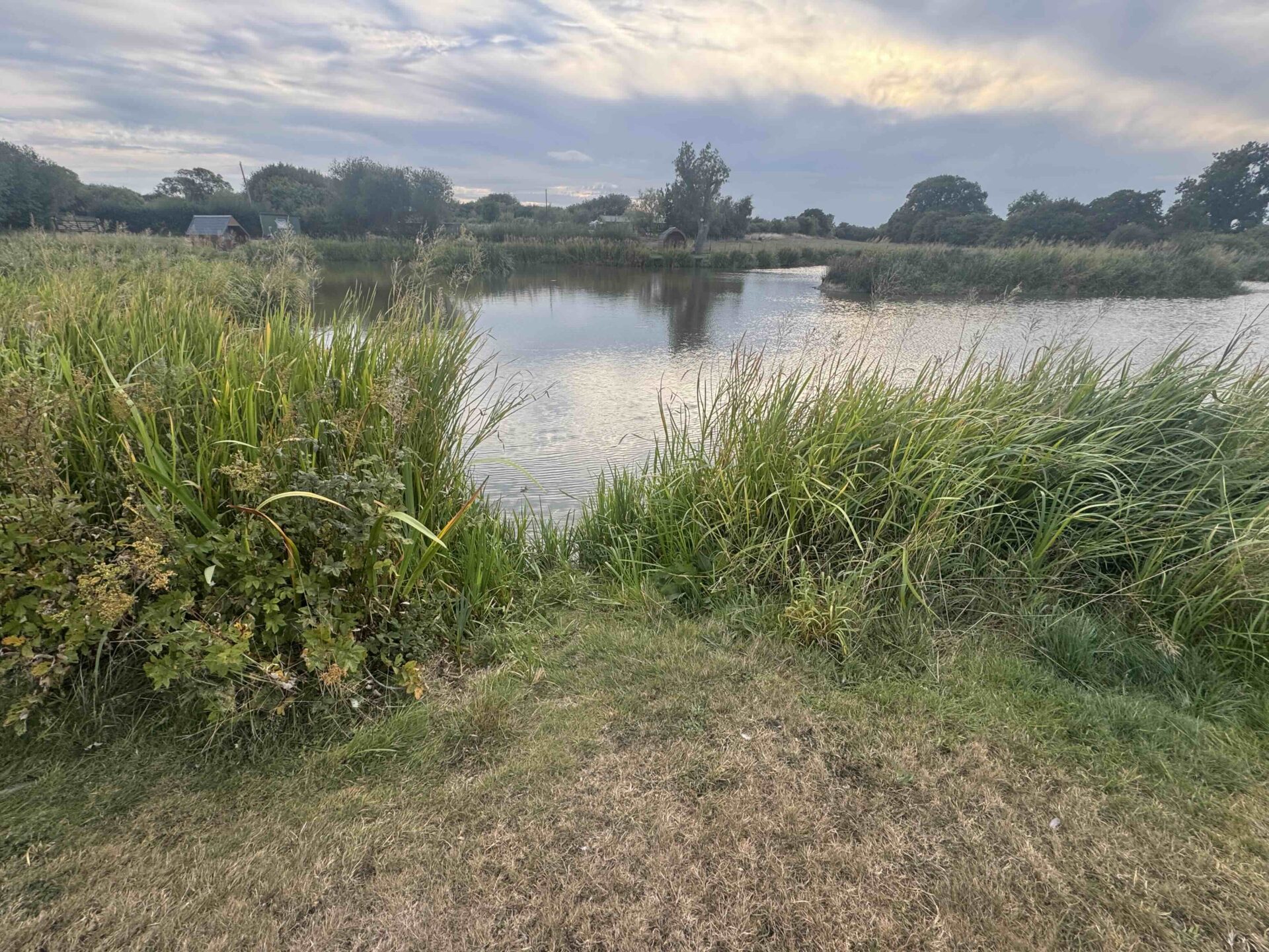 The Bivvy Swim where Josh caught the 30lb Mirror Carp