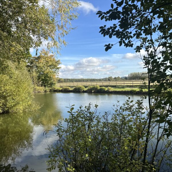 Middle Lake at Willow Waters