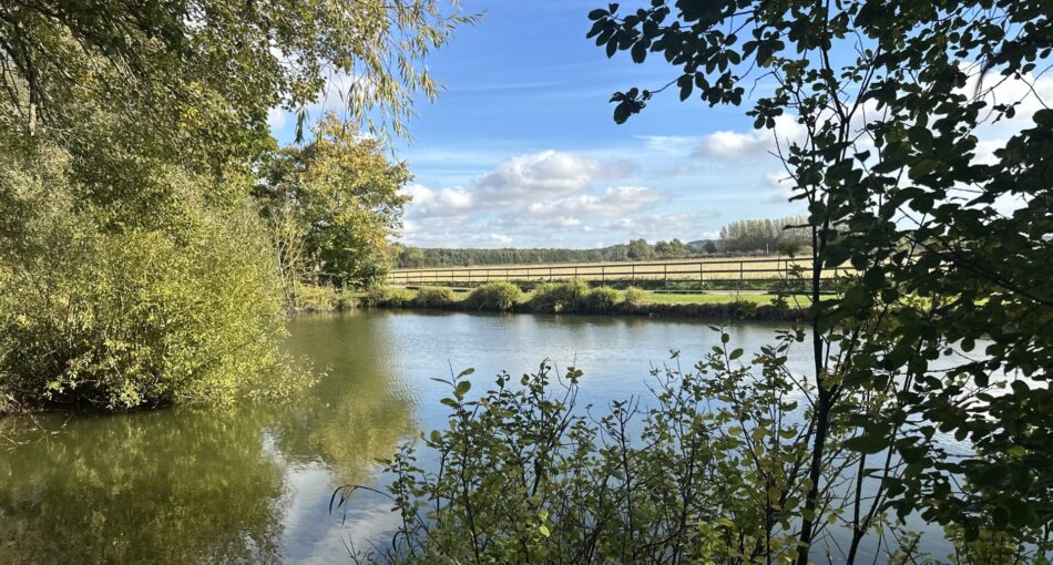 Middle Lake at Willow Waters