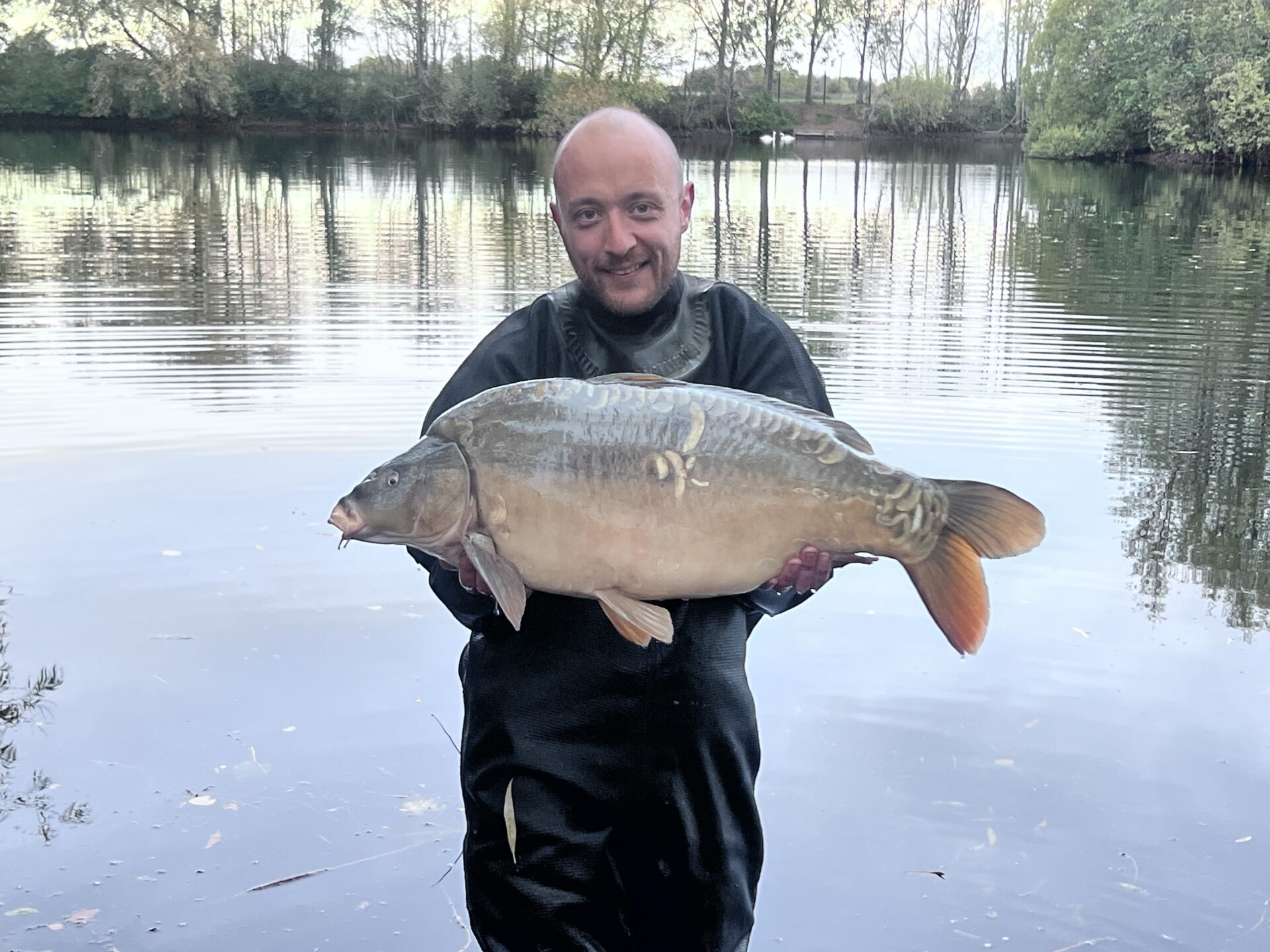 Big carp arrive at The Folly Main Lake!