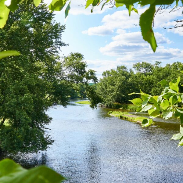 Riparian fishing rights & land