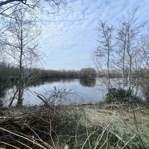 Exciting updates from The Folly Lakes: Getting ready for a record-breaking summer