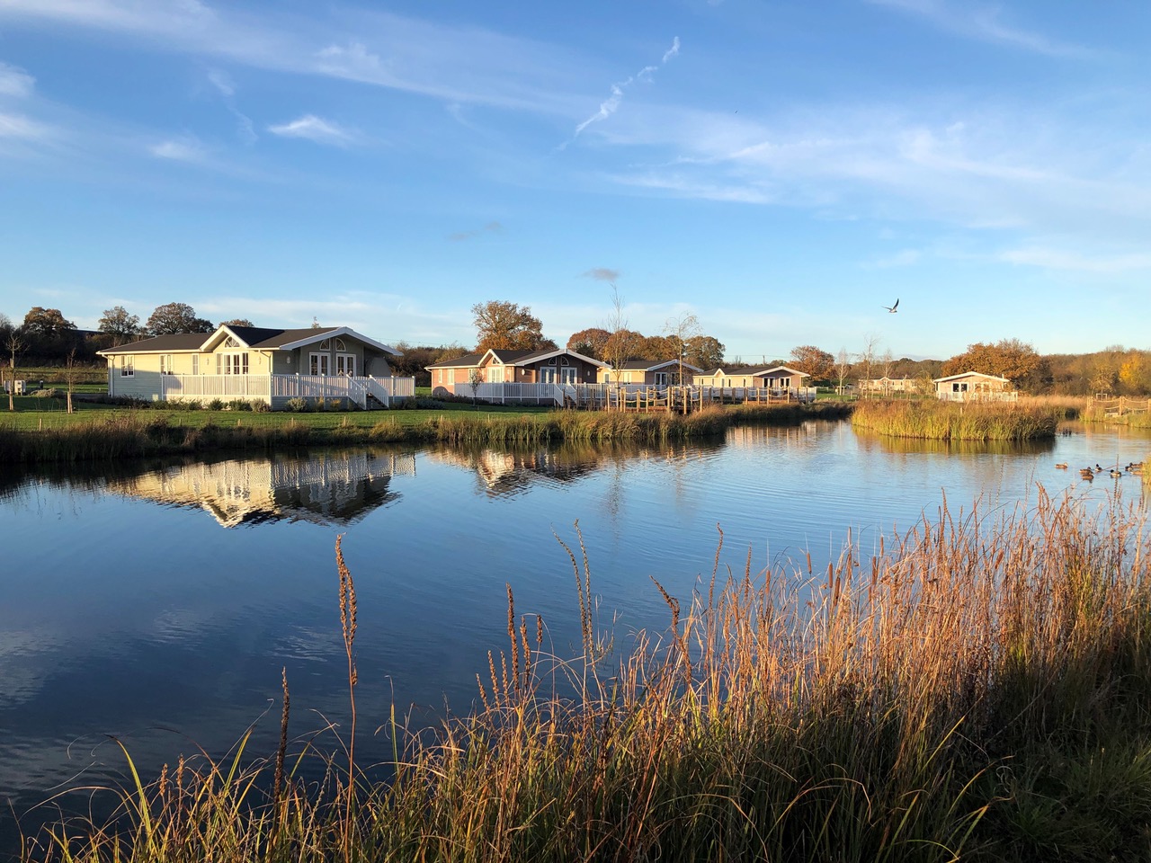 Pinelog: Bespoke British Luxury Lodges