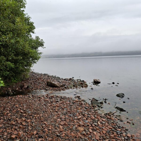 There are several secluded gravel beaches and natural clearings, offering tranquil viewpoints across the loch.