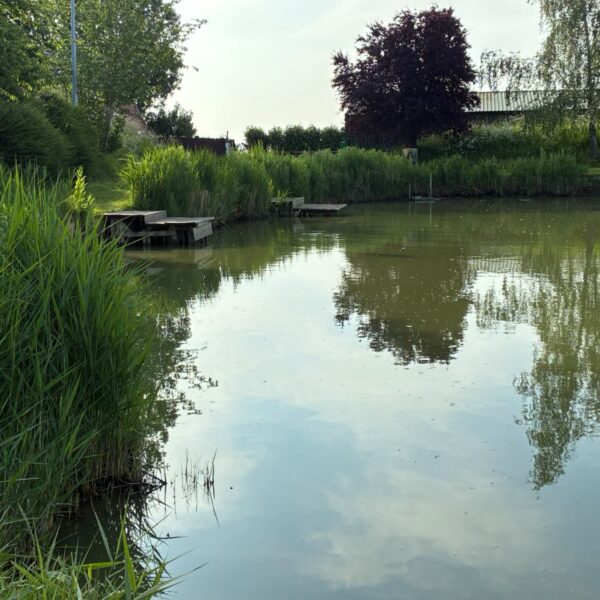 Buttonhole fishery in Norfolk