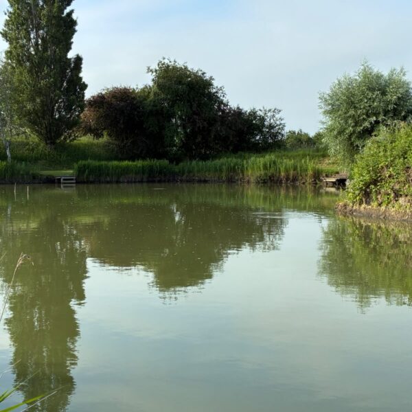 Buttonhole fishery in Norfolk